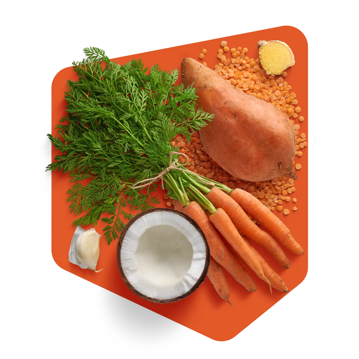 Ingrédients frais de la soupe à la carotte Pocket Soupe : carottes, patate douce, lentilles corail, gingembre, ail et noix de coco
